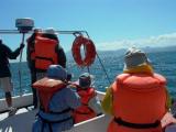 Whale watching in Tarifa