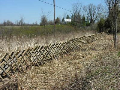 the sculptural fence - 1