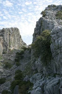 Salto del Cabrero