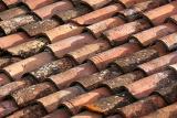 Terra Firma roof tiles