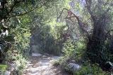 Path up to Montejaque - the official start!