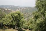 View west, to the Guardiaro
