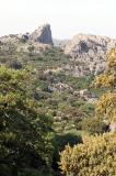 towards the salto