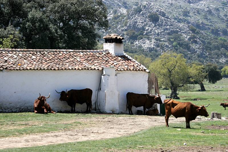 These are the barns where you go straight on, dont follow the track to the right!