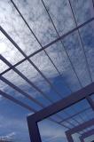 Trellis