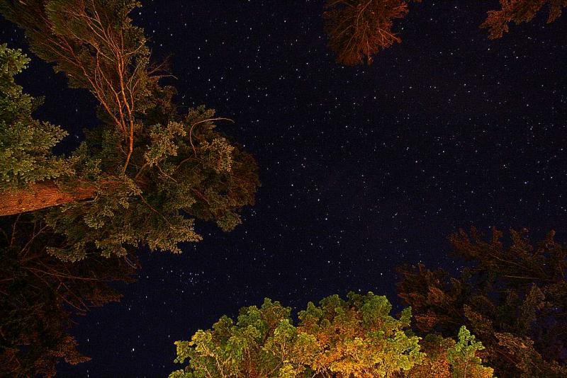 <b>10th Place:</b>  stars  (*)