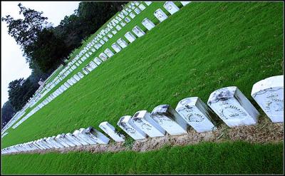Andersonville 2 *