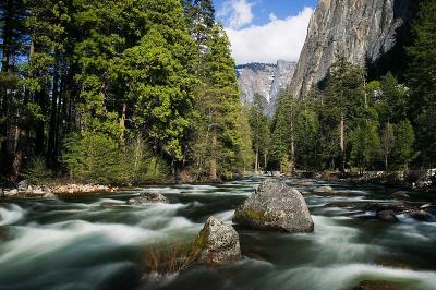 8th Place:  merced river