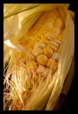 19th Place tie - Corn Rows (*)