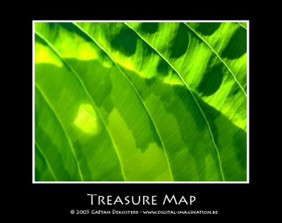 Treasure Map