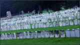 <b>Andersonville</b> *