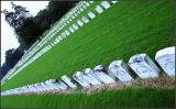 <b>Andersonville 2</b> *