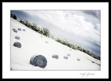 <b>Hay Bales</b><br><i>AJ</i><br><b>6th Place</b>