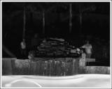 Ghost Family *