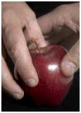 apple grab (*)