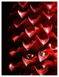 11th Place - Cascading Scuppers (*)