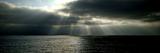 13th Place - Sunbeams *