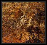 14th Place - Water Surface...Water Spirit*