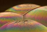 Interference 1103 (*)