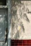 Door shadow1.jpg