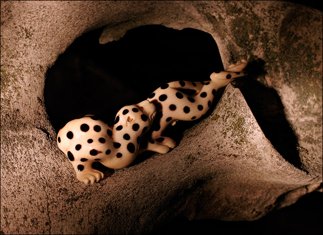 Fossil and Bone*