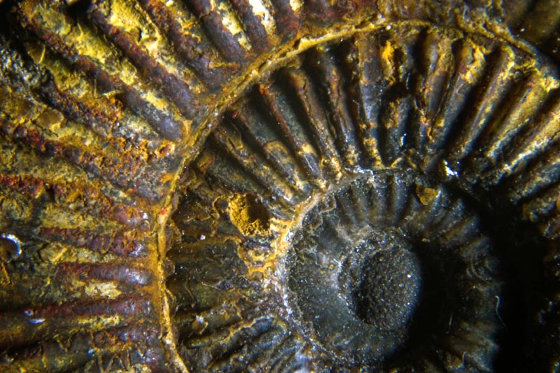 Rusty Wheels*