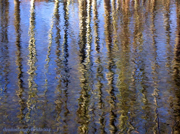 13th Place - Ripples By Dennis Dangerfield**