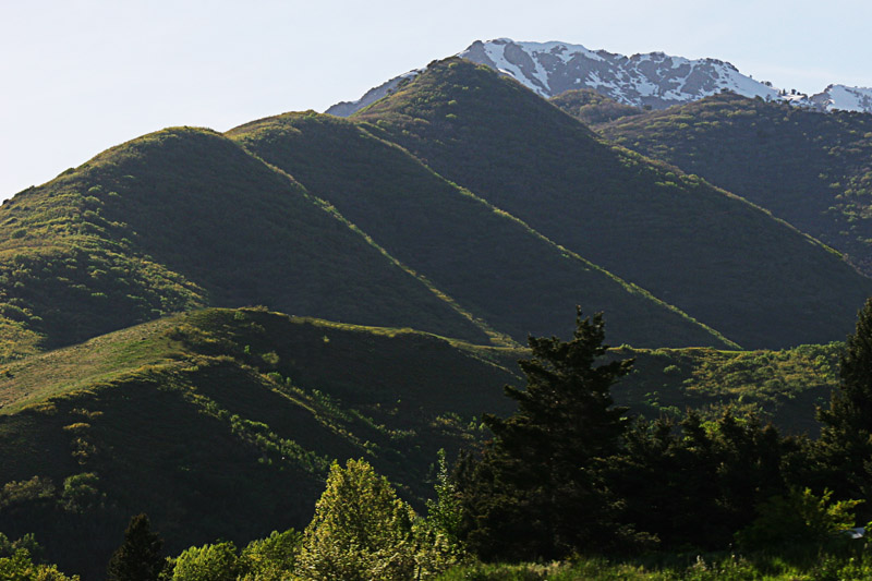 Three Hills