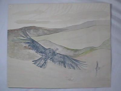 Hawk (watercolor, c. 1987, 11 x 14)