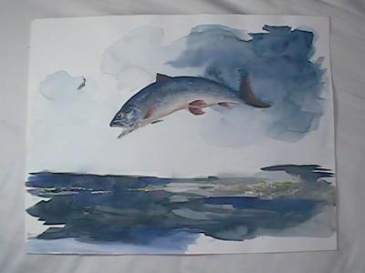 Jumping Trout (watercolor, c. 2000, 12 x 16)
