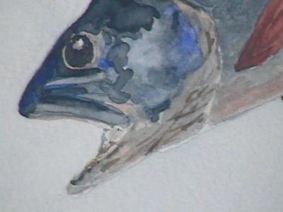 Jumping Trout (detail)