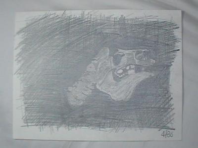 Skull (pencil, April 1986, 9 x 12)