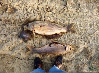 Lake Monroe, Indiana (After the Spring Floods)