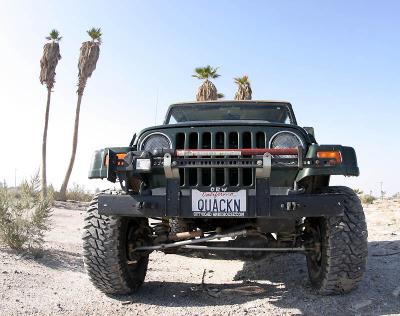 Jeepin' Palms *