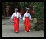 Shrine Maidens