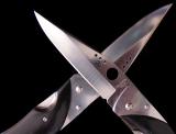 Twin Blades