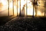 <b>New day Dawning</b>