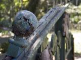 Decaying Wooden Bridge *