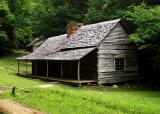 Ogle Place   *