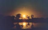 Yellow Waters*