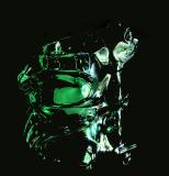 Reflective Frog *