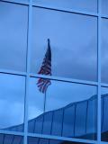 Reflecting Freedom*