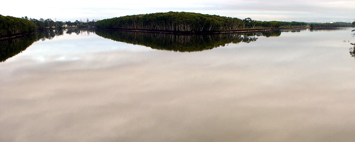 <b>River - Fork</b>