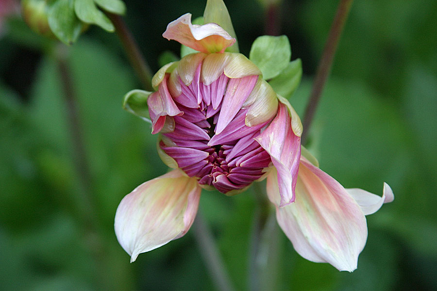 About to Open