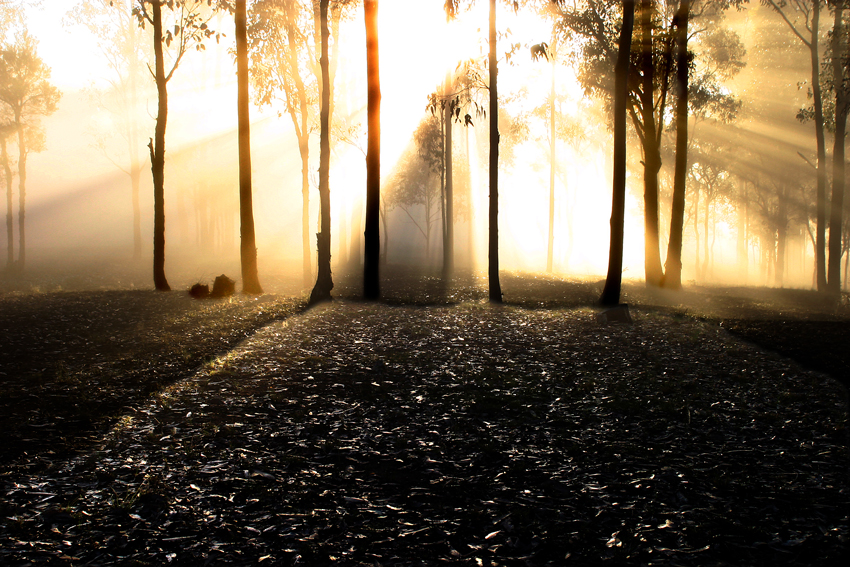 <b>New day Dawning</b>