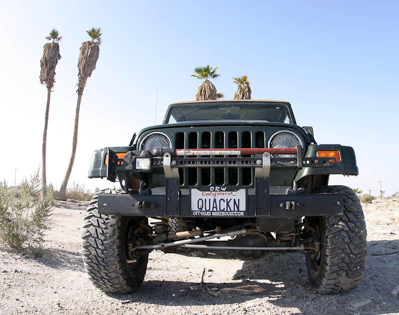 Jeepin Palms *
