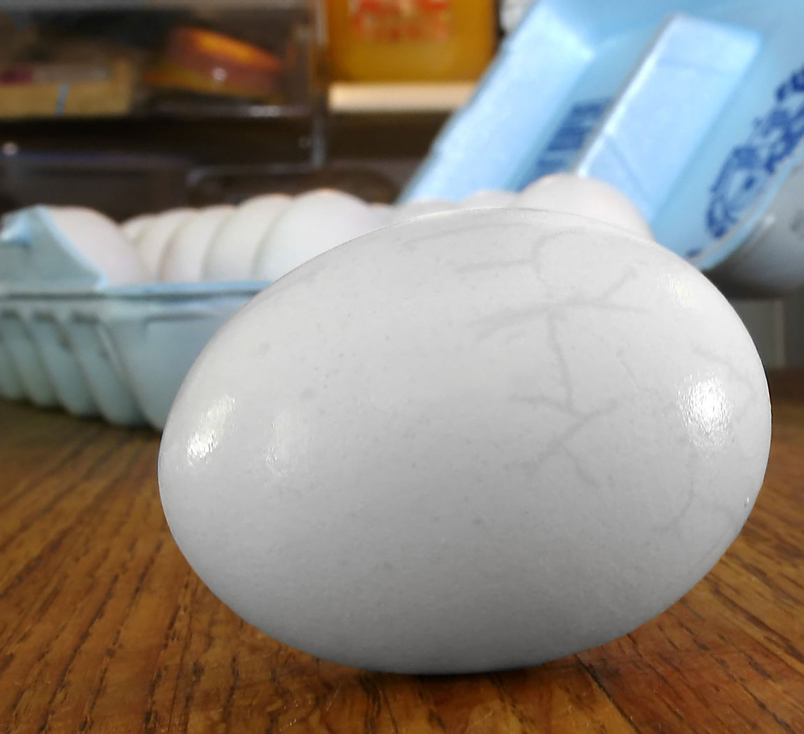 Eggnormous *