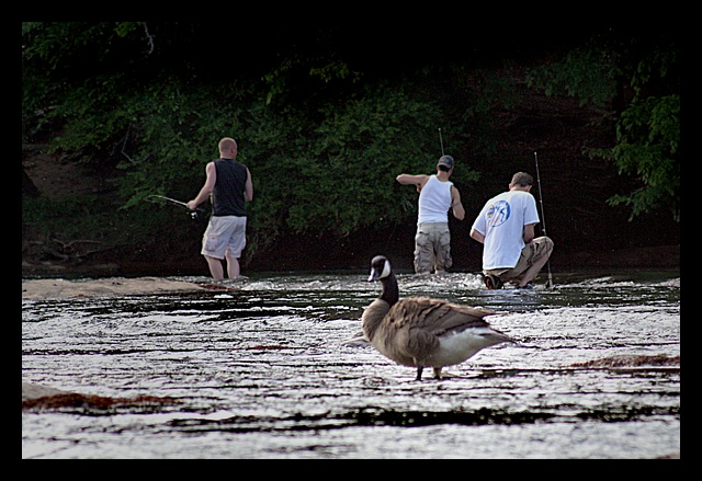 On the river (*)