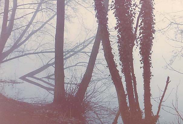 Baches Pond*