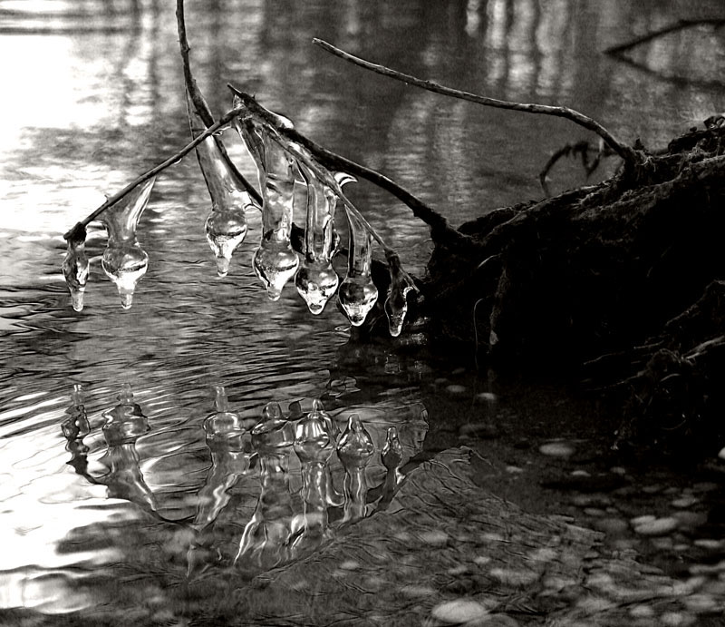 ICE Capades(*)